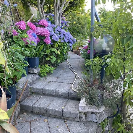 Da Giorgio E Lina Hébergement de vacances