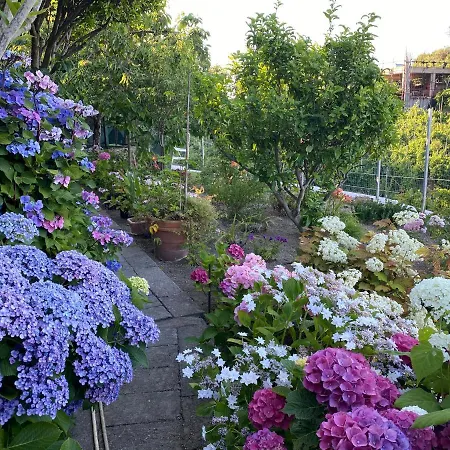 Hébergement de vacances Da Giorgio E Lina Ischia